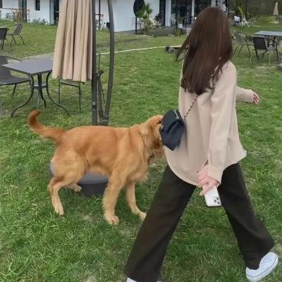 四季童年